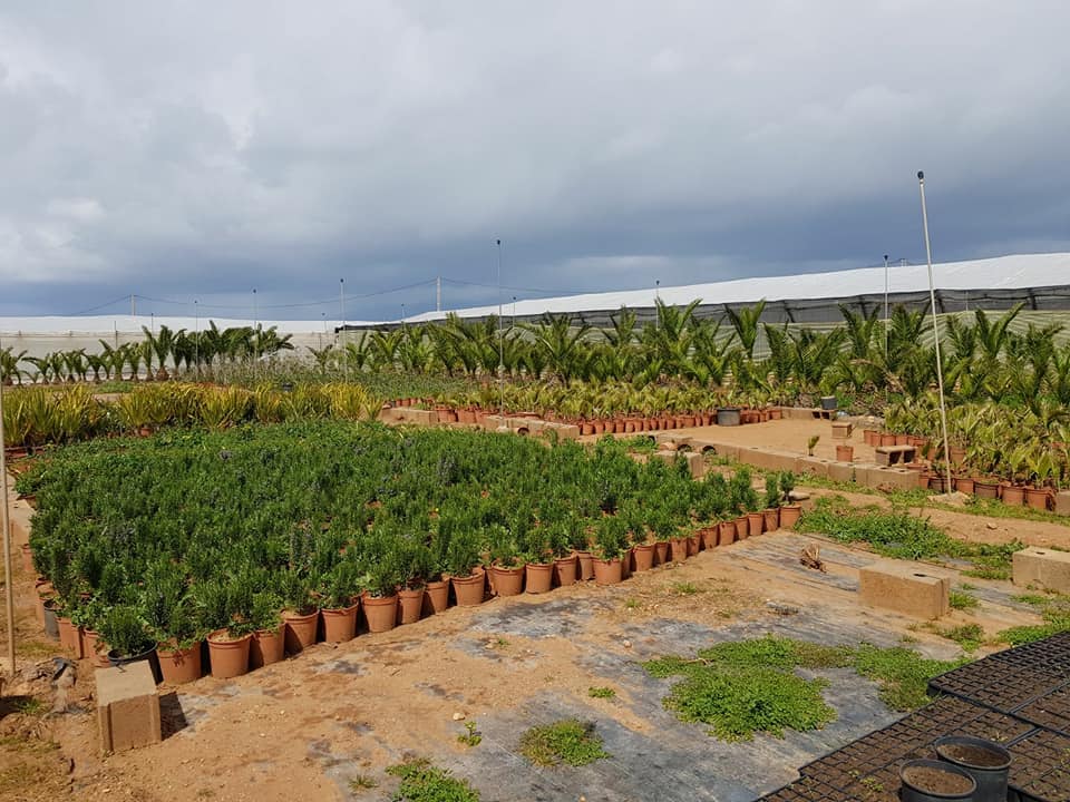 vivero